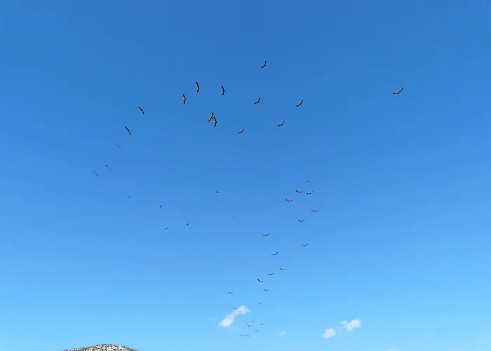 Cortijo La Estrella