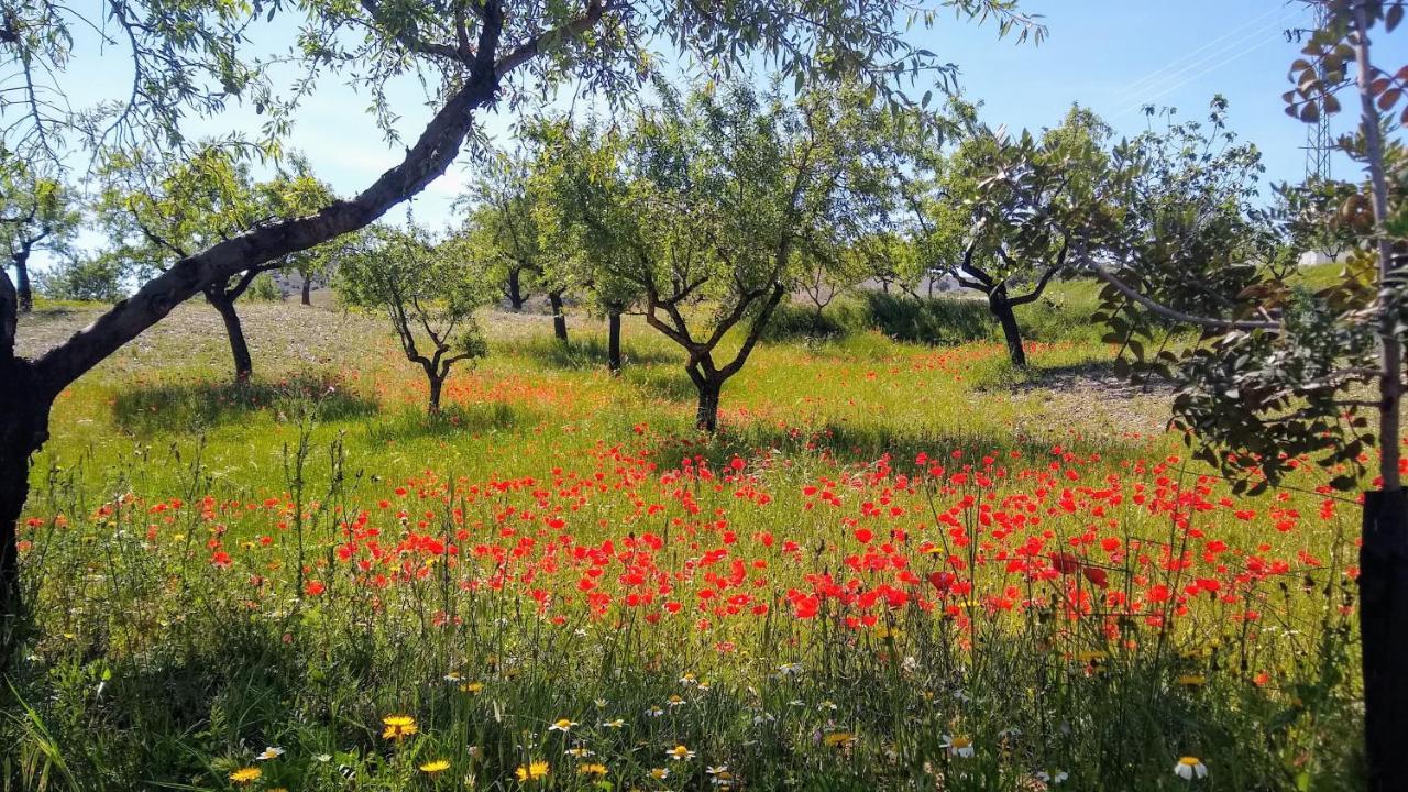Cortijo La Estrella Apartament Vélez Rubio
