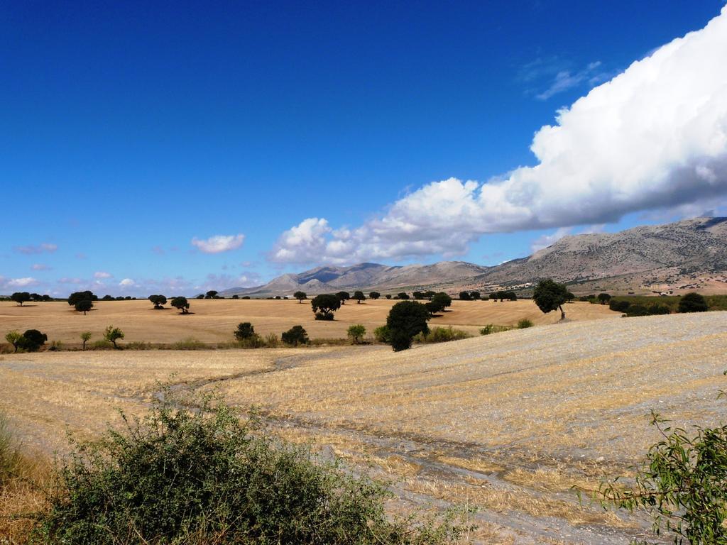 Cortijo La Estrella Apartamento