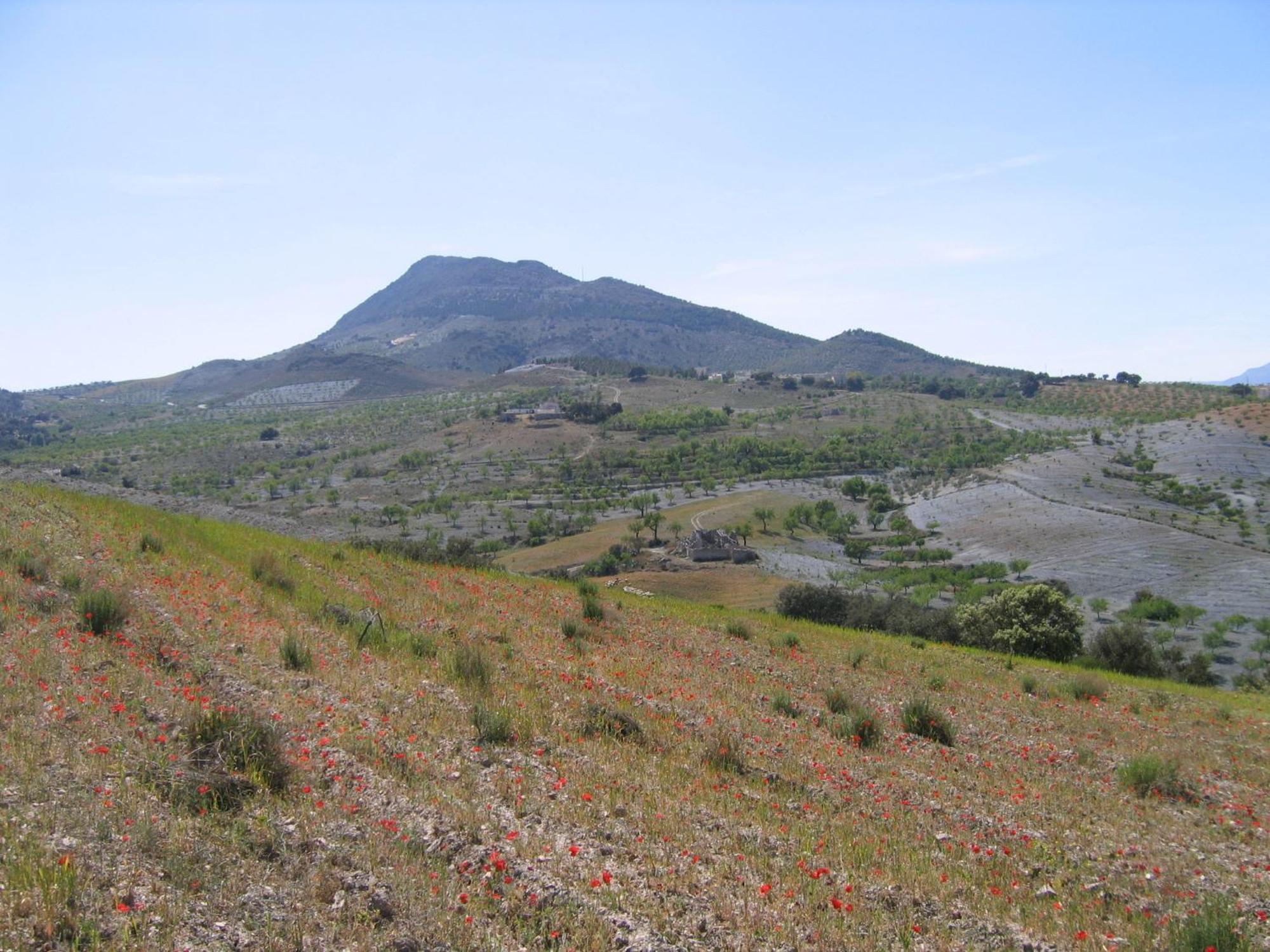 Apartament Cortijo La Estrella