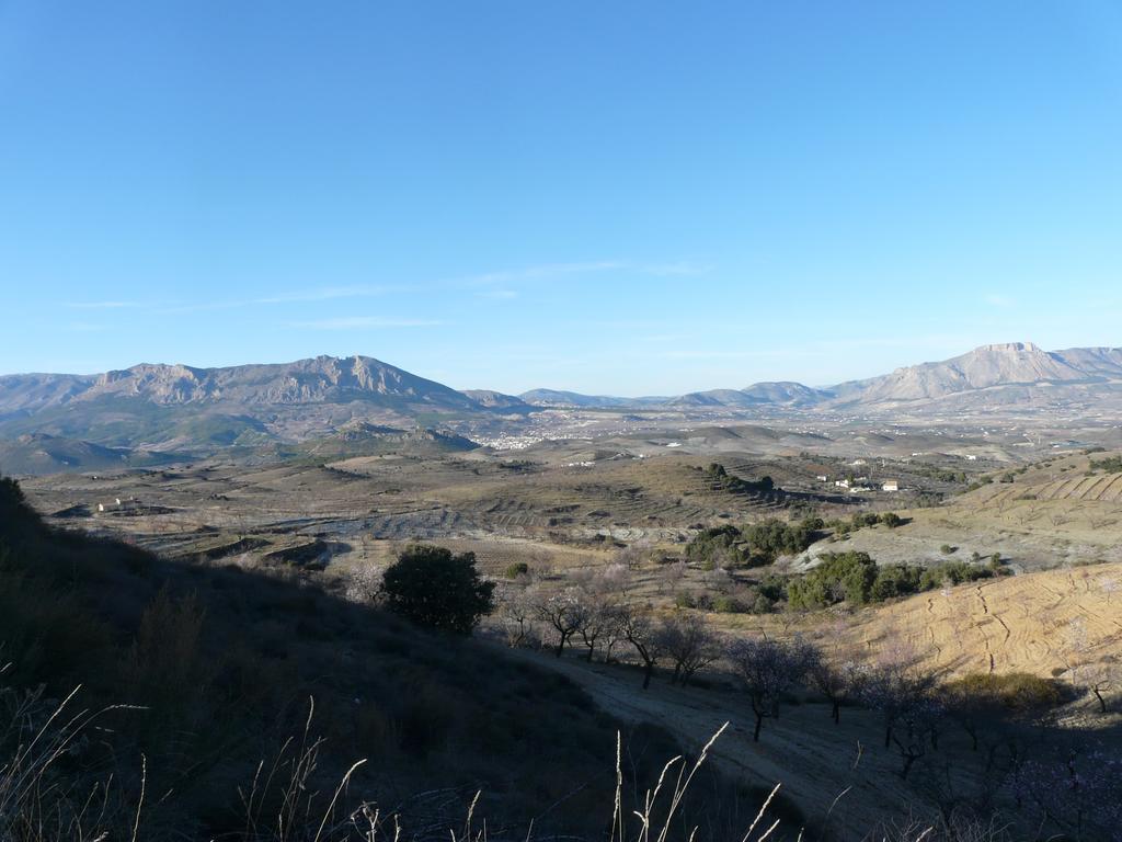 Cortijo La Estrella Apartament