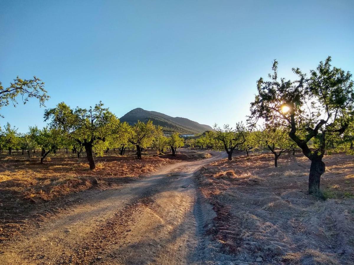Cortijo La Estrella Vélez Rubio